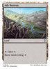 Ash Barrens