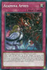 SUDA-EN070 Azamina Aphes