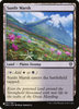 Sunlit Marsh (The List Reprint)