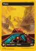 Plains (#507) (Full Art First-Place Foil)