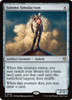 Solemn Simulacrum