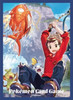 Pokemon Center Japan - Victor & Magikarp Sleeves (64)