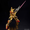 RG 1/144 Akatsuki Gundam Oowashi (Equipped with Eagle)
