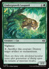 Undergrowth Leopard