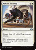 Release the Dogs