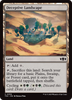 Deceptive Landscape