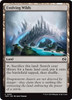 Evolving Wilds (Foil)