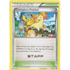 X&Y Promo XY91 Champions Festival (STAFF)