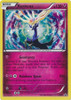 X&Y Promo XY05 Xerneas