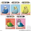 Shokugan: Tenori Friends 4 (Birds) Display of 12