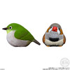 Shokugan: Tenori Friends 4 (Birds) Display of 12