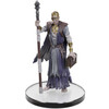 Adventures from Baldur's Gate - Withers