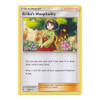 Hidden Fates 56/68 Erika's Hospitality