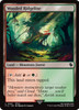 Wooded Ridgeline