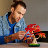 Botanicals Japanese Red Maple Bonsai Tree 10348
