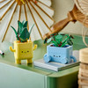 Botanicals Happy Plants Home Decor Set 10349