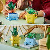 Botanicals Happy Plants Home Decor Set 10349