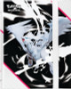 Pokemon SV White Flare Reshiram Binder