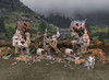 Modular Terrain: Fantasy Wargames - Village Ruins