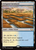 Irrigated Farmland