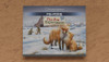 Colour Box Insert - The Fox Experiment
