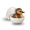 Shokugan: Tenori Baby Friends Hatchling (Birds) Blind Box