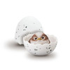 Shokugan: Tenori Baby Friends Hatchling (Birds) Blind Box