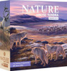 Nature: Module 4 - Arctic Tundra