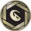 Gold & Black Clear Oversized Dragon Symbol Coin