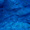 Disney: Fantasia Convertible Backpack & Tote Bag