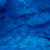 Disney: Fantasia Convertible Backpack & Tote Bag