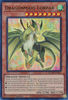 BLMM-EN061 Dragonmaid Lorpar