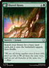 Shared Roots (Foil)