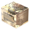 Ultimate Guard Sidewinder 100+ Xenoskin Magic: The Gathering - Avatar: The Last Airbender - Koh, the Face Stealer