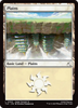 Plains (#303)