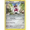 Kalos Starter Kit 20/39 Bisharp