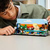 Minecraft Mini Biomes Building 21589