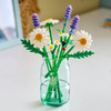Botanicals Daisies - Flower Bouquet 11508