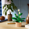 Botanicals Peace Lily Flower Decor Set 11504