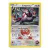 XY Double Crisis 22/34 Team Magma's Zangoose