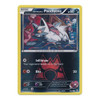 XY Double Crisis 17/34 Team Magma's Poochyena (Reverse Holo)