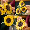 Botanicals Sunflower Bouquet Flower Decor Set 11502