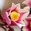 Botanicals Magnolia Branches Flower Set 11510