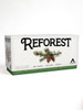 Reforest: Old Growth