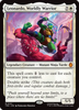 Leonardo, Worldly Warrior