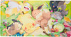 Pokemon Center Japan - Very Sleepy Playmat