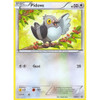 Black & White Promo BW15 Pidove