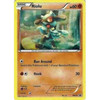 Black & White Promo BW33 Riolu (Cosmo Holo)
