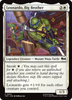 Leonardo, Big Brother (Foil)