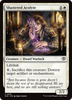 Shattered Acolyte